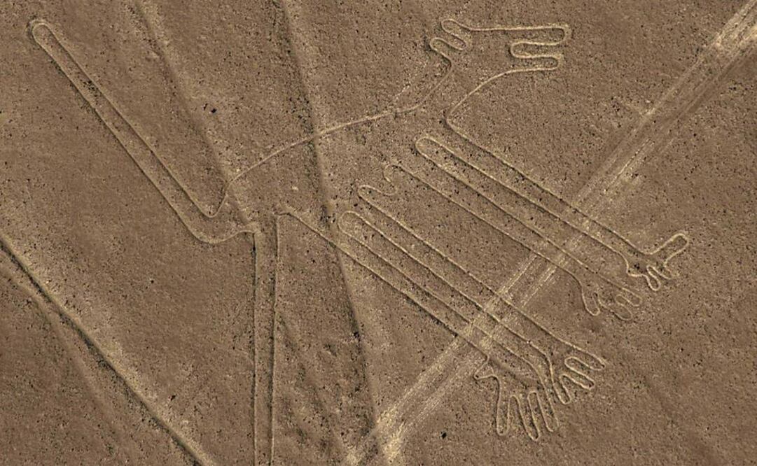 Las imágenes muestran los lugares más frágiles del extenso terreno y las zonas donde éste ha sido removido por la actividad humana. (FOTO: Archivo EL UNIVERSAL) 