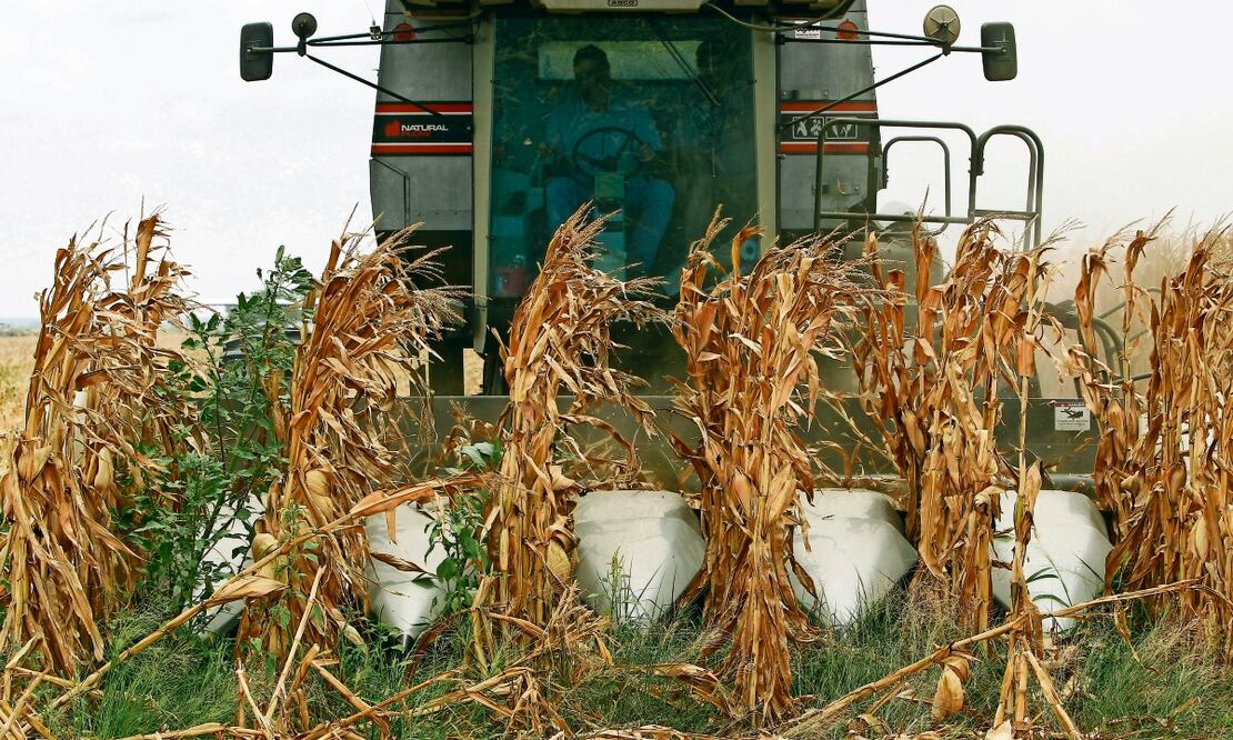La representación comercial de EU aseguró que a través del panel buscará resolver preocupaciones en torno a productos agrícolas. Foto: Archivo / EL UNIVERSAL