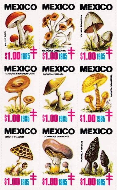 Timbres antituberculosos sobre hongos, 1985. Entre los diseñadores de estampillas estuvieron Guido Letechepia en los 60, Ramón Alcántara en los 90, y Cecilia Vergara con Sara Villanueva en los 2000. Foto: ESPECIAL/Tomado de John Denune's ChristmasSeals.net.