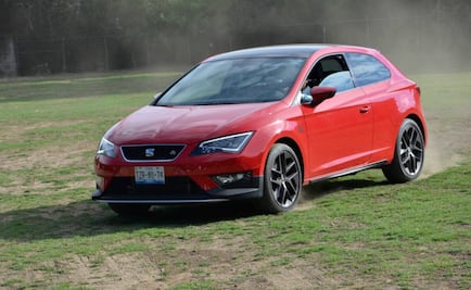 Es una fiera, pequeña y muy deportiva