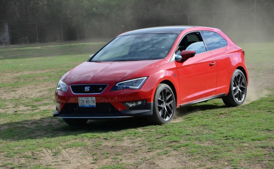 Es una fiera, pequeña y muy deportiva