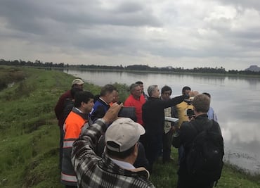 Lluvias dañan más de 200 mil plantas de nochebuena y cempasúchil