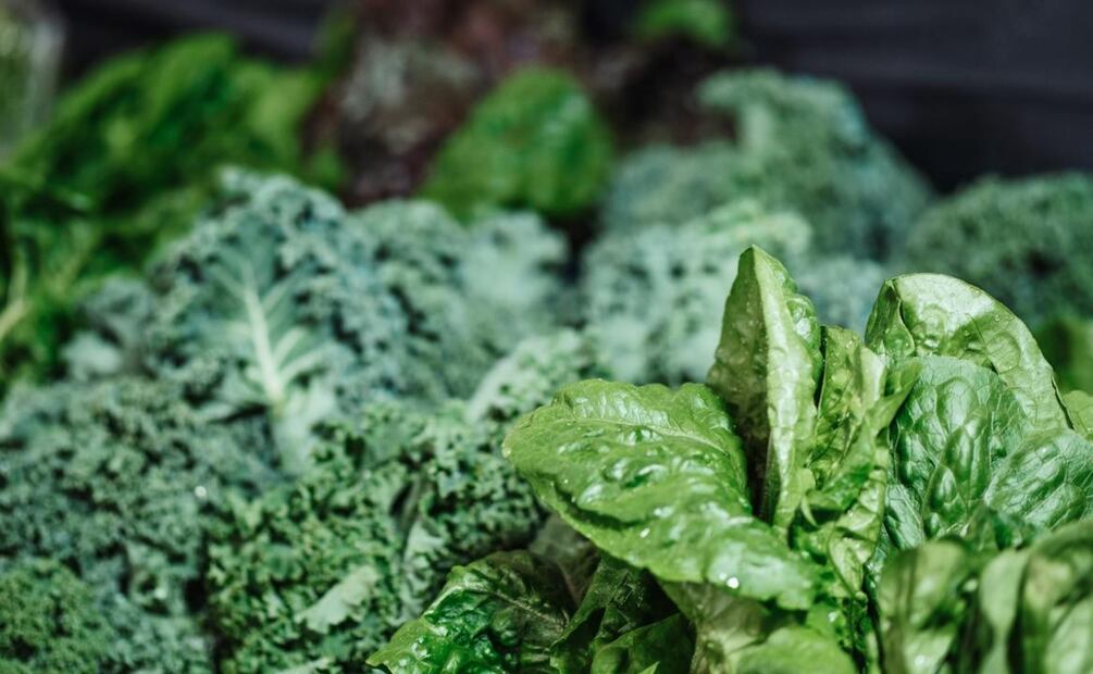 Foto: Kindel Media / Pexels