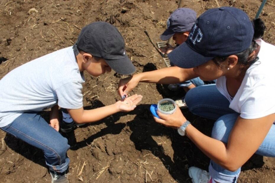 Tips para hacer que tu hijo ame comer