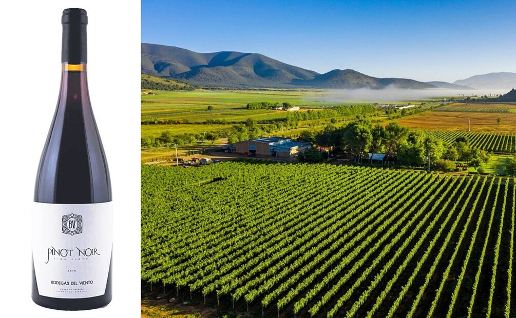 Aprender sobre vino mexicano, es ideal para cualquier sommelier. Foto: Especial