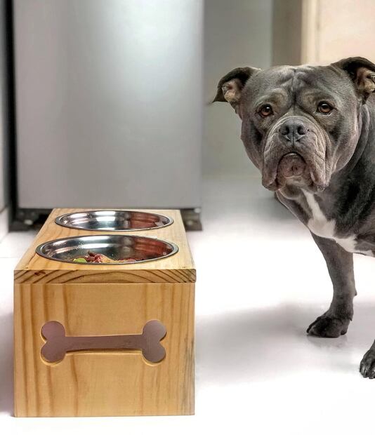 Fuente: Instagram @khambathebully