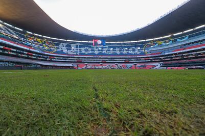 Responsable del pasto híbrido culpa a la gente del estadio Azteca
