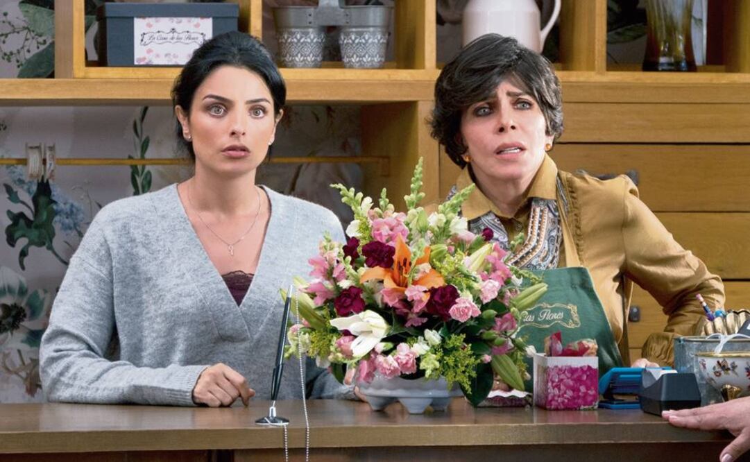 "La Casa de las Flores" se estrenó el pasado 10 de agosto en Netflix FOTO: ESPECIAL