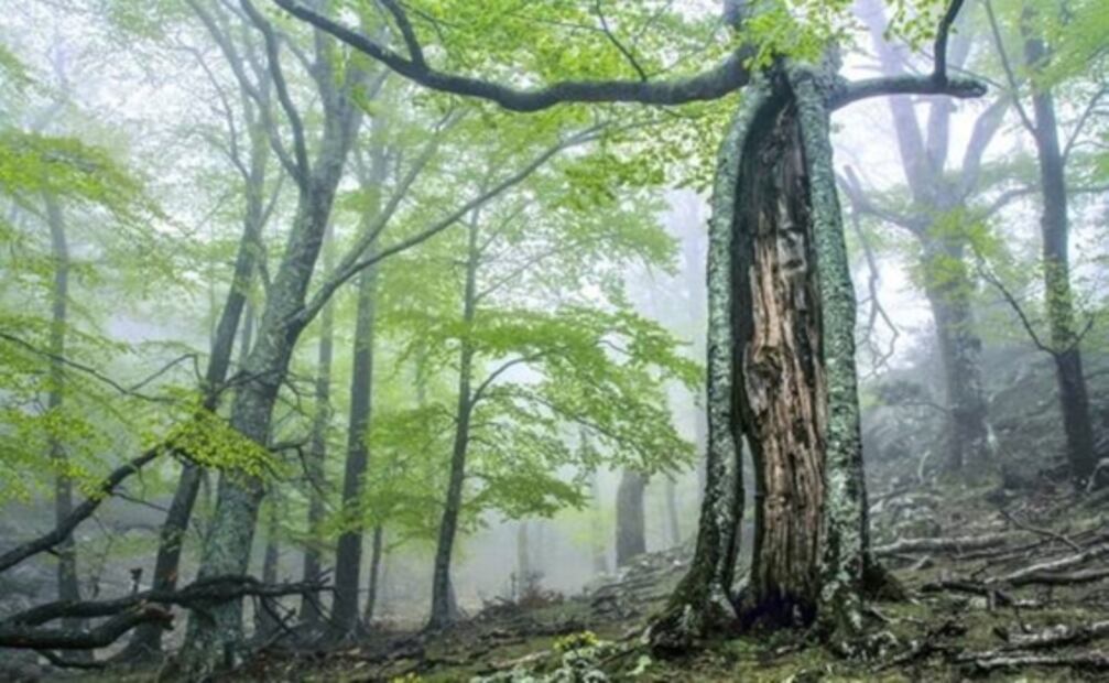 Rusia-Ucrania: Los siete sitios declarados como Patrimonio Mundial por la UNESCO que peligran