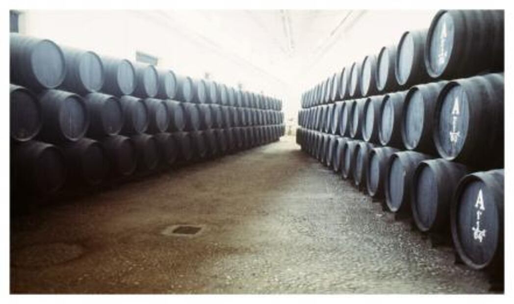 Disfruta la Navidad con los mejores vinos 