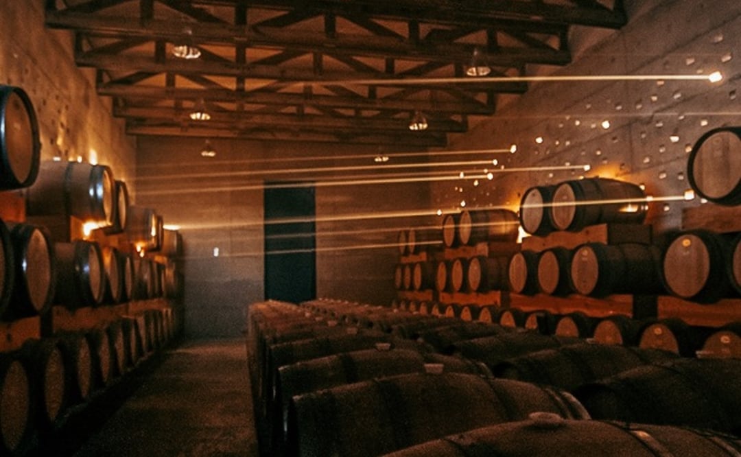 Bodegas vinícolas en Guanajuato. Foto: especial