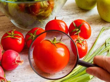 Guácala qué rico: 5 alimentos vistos en microscopio