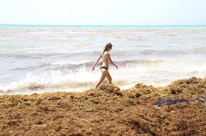 Las playas aptas y no aptas para visitar estas vacaciones: Cofepris