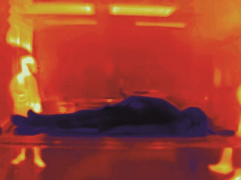 Gama y Clavo, salidas al arte, que dejó el Covid