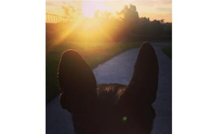 "El sol siempre sale. Buenos días", tuitea Kate