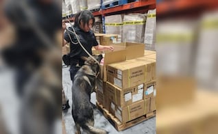 Aseguran 22 mil 800 vapeadores en el AICM; mercancía ilícita tiene valor aproximado de 5.2 mdp