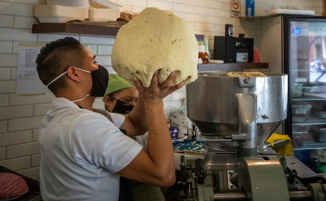 Fotos: Fernando Gómez Carbajal