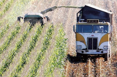 Sector agropecuario siente ya efectos del tipo de cambio