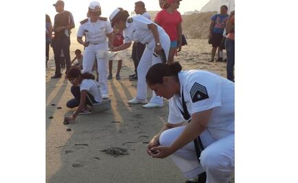 Semar libera tortugas en peligro de extinción en Oaxaca