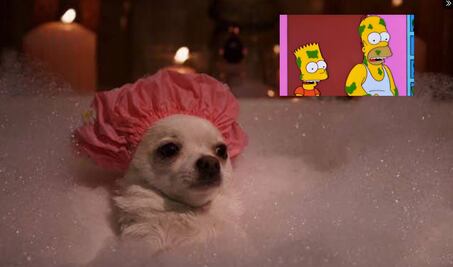 Espuma en Naucalpan por desborde de presa provoca la mejor ola de memes; usuarios no perdonan