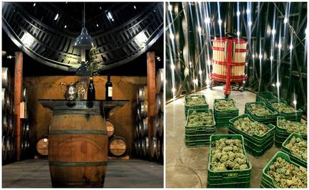 Vinos naturales: cambiar de chip para aprender