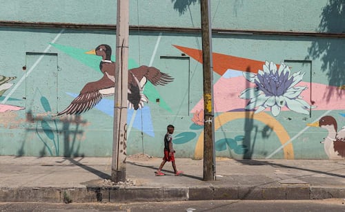 Senado analiza reforma para garantizar recepción segura a migrantes deportados; busca combatir abandono institucional