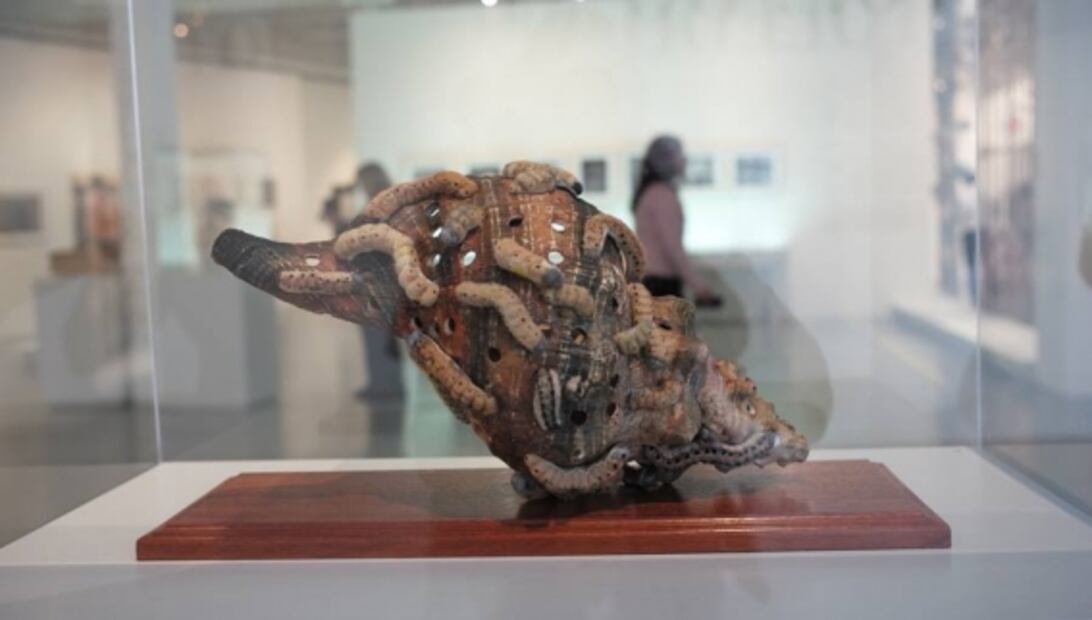 Toledo ve: Muestra en el Museo Nacional de Culturas Populares