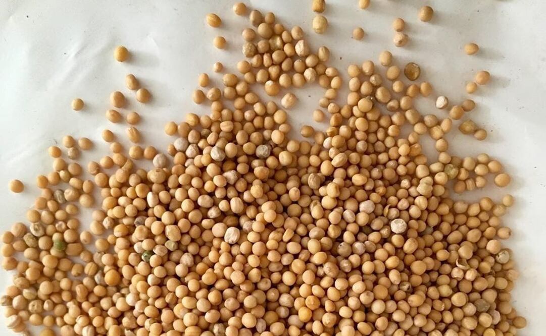 Foto: instagram tienda.azulejo