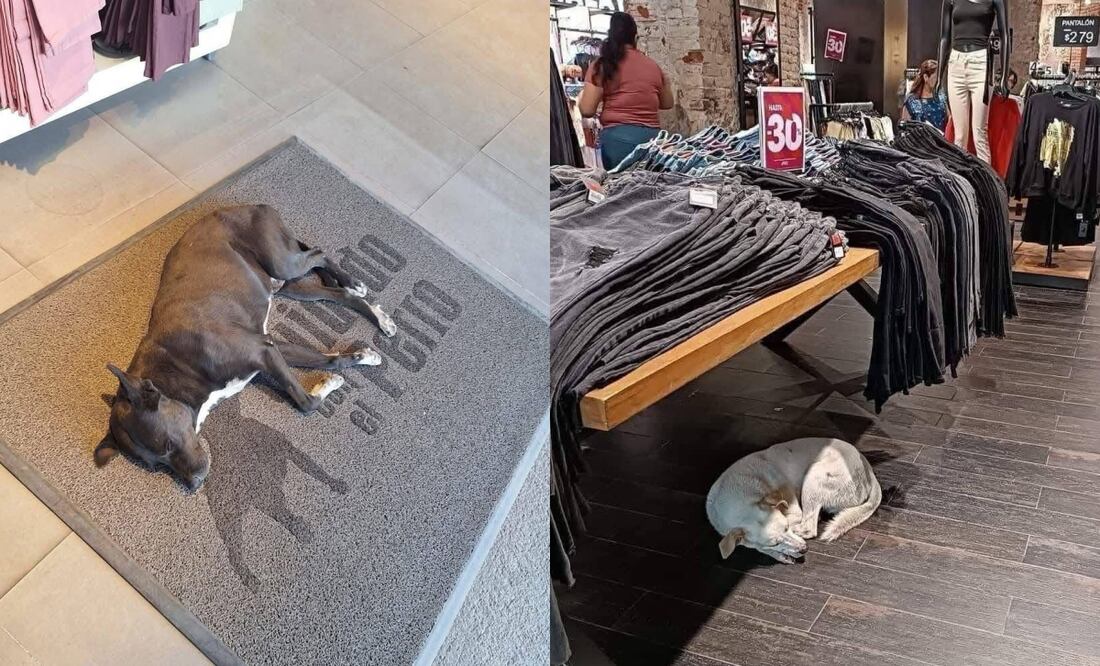 La marca de ropa se volvió tendencia en redes sociales por su buena acción. Fotos: ´X´