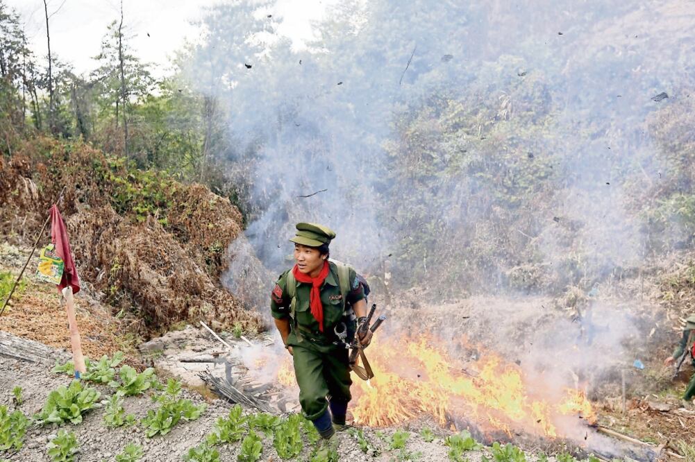Un soldado de un grupo rebelde se aleja de un sembradío de amapola en llamas, en esta imagen de 2014, en Myanmar. Este país asiático es uno de los grandes productores de opio en el mundo (ARCHIVO. EFE)