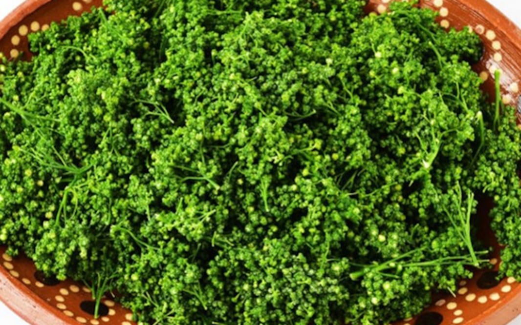 El huauzontle, alimento ancestral mexicano, se mantiene vigente gracias a su sabor y valor nutricional. Foto: Sitio web El poder del Consumidor