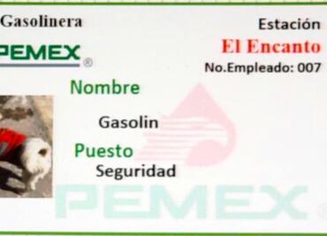 Conoce a Gasolín, el famoso perrito que trabaja en una gasolinera