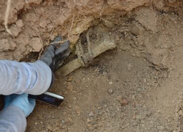 Realizarán pruebas de ADN a cuerpos de fosas de Zitlala