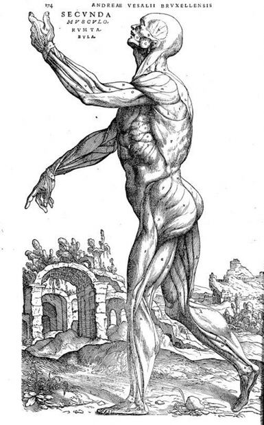 Descarga y colorea gratis dibujos seleccionados por Museos y bibliotecas