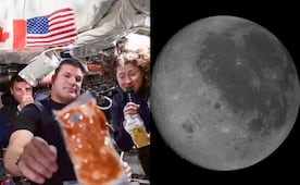 ¿Los humanos podrían contaminar la Luna? NASA alerta por microbios capaces de sobrevivir en su polo sur
