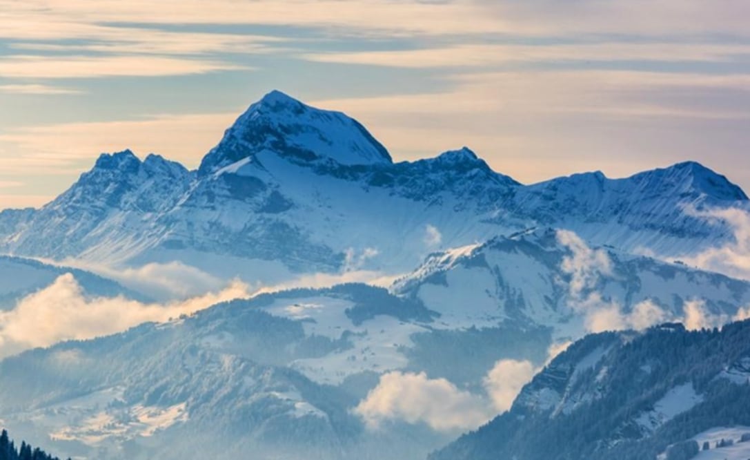 Foto: Archivo / EL UNIVERSAL