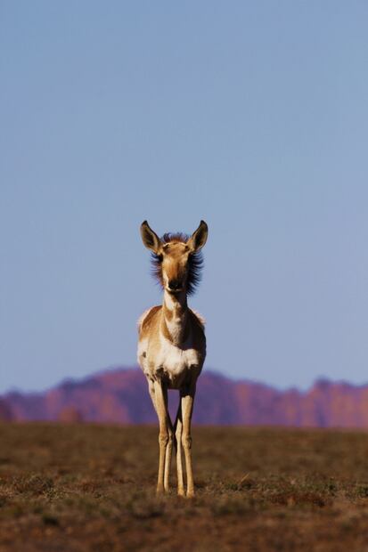 Así es El Pinacate, el paisaje del nuevo billete de 200 pesos