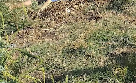 Abandonan cadáver de una joven sin rostro en terreno baldío de Chiconcuac 