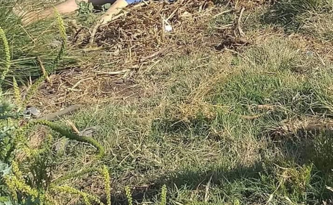 Fotografía: Especial