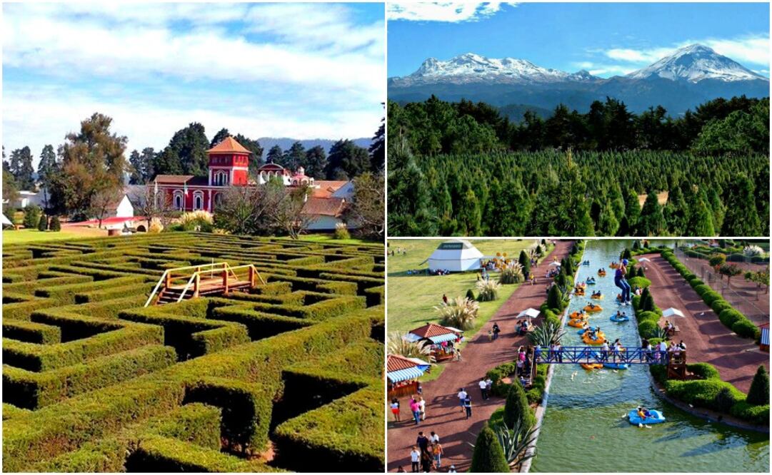 Piérdete en el laberinto inglés, son 2 mil metros de senderos tupidos con cedros. Disfruta de los volcanes y parque. (Foto: Cortesía Hacienda Panoaya)