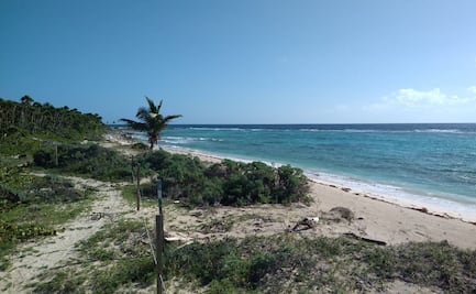 Futuro inmediato de nuevo ordenamiento urbano de Tulum queda indefinido
