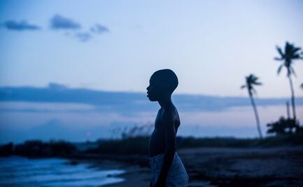 Cine para comprender más sobre el conflicto racial de EU