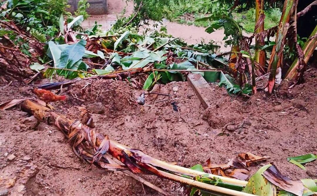 En Santiago Ixtayutla, las lluvias afectaron los caminos y los sembradíos; población pide apoyo. Foto: Especial