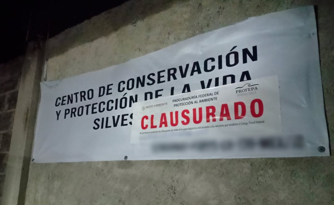 PROFEPA clausura Animal Experience y asegura nueve ejemplares tras escape de Kenzo. Foto: Especial