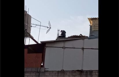 ¿Qué pasó con la enfermera que denunció en video estar secuestrada en Coyoacán?