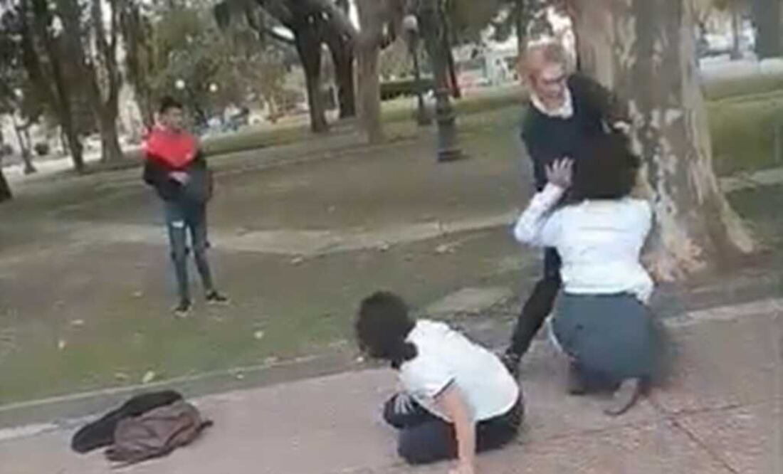 Dos alumnas se pelearon en la Plaza San Martín y una mujer las separó. Foto: Tomada del video