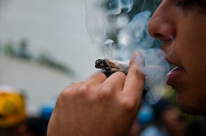 Senado alista debate sobre la marihuana
