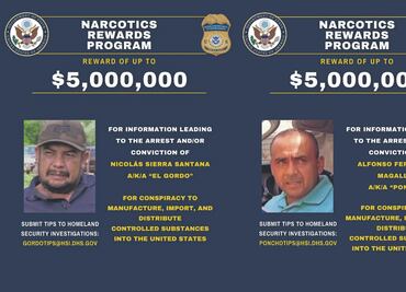 EU amplía vigilancia a más cárteles del narco en México