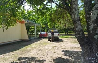 Atacan abejas africanas a alumnos de Oaxaca; hay 21 lesionados