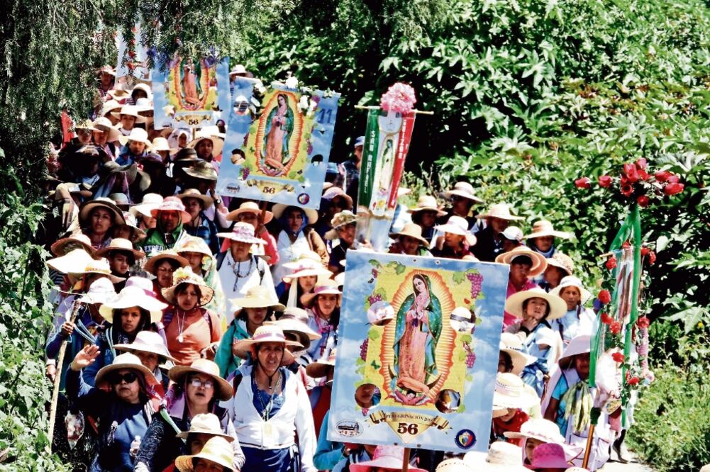 La columna de mujeres salió de Neblinas, Querétaro, el pasado 8 de julio y suman más de 16 mil las participantes. Los hombres iniciaron un día después, el 9 de julio, y se estima que son más de 20 mil (JUAN MANUEL BARRERA. EL UNIVERSAL)